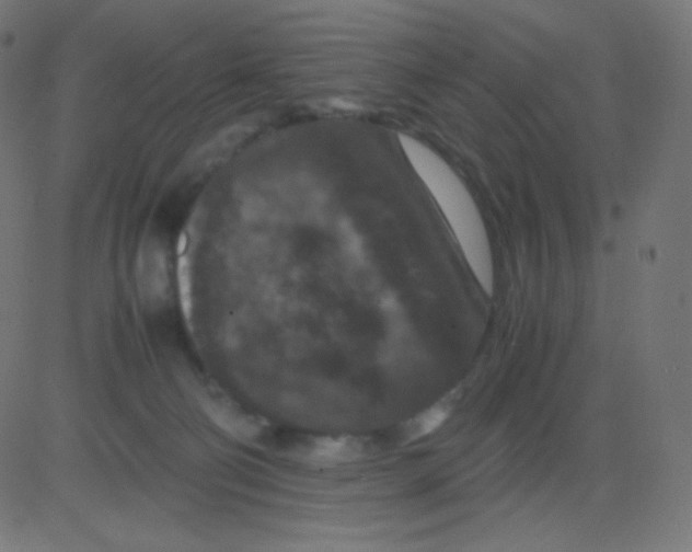 X0000081310130200702012344