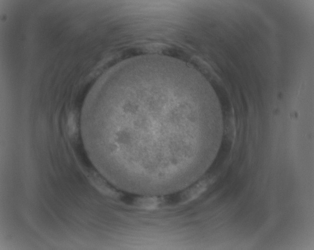 X0000081310131200702012344