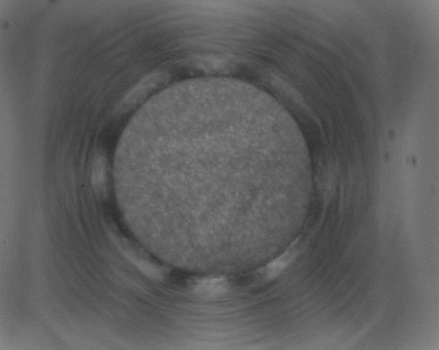 X0000081310132200702012344