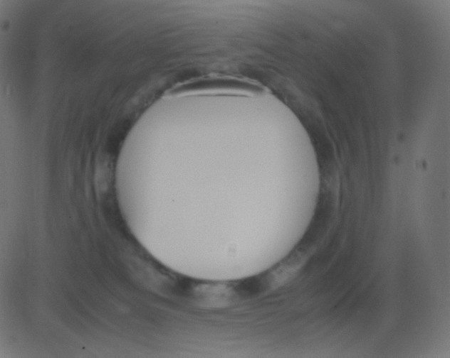 X0000081310133200702012344