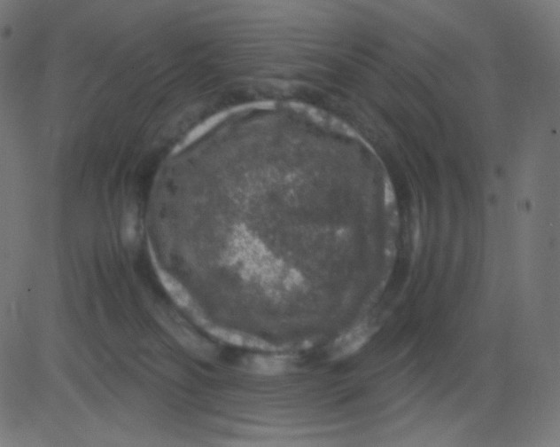 X0000081310134200702012344