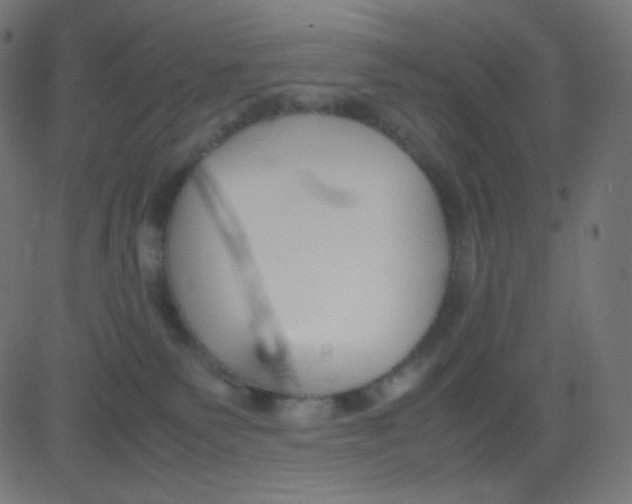 X0000081310135200702012344