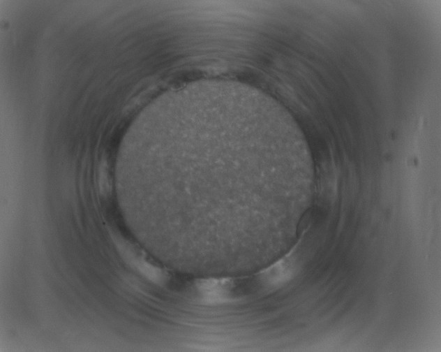 X0000081310136200702012344