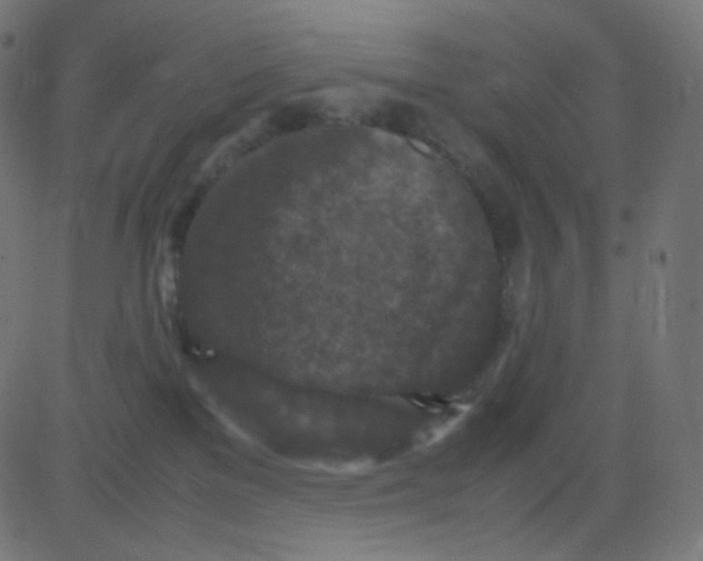 X0000081310137200702012344