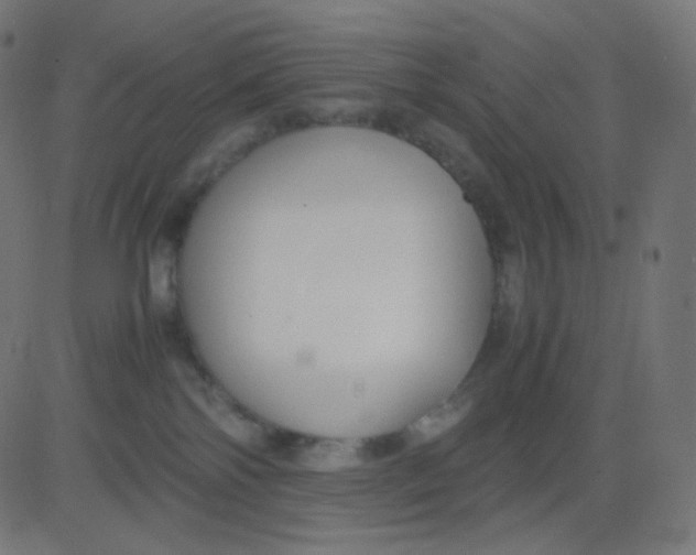 X0000081310138200702012344