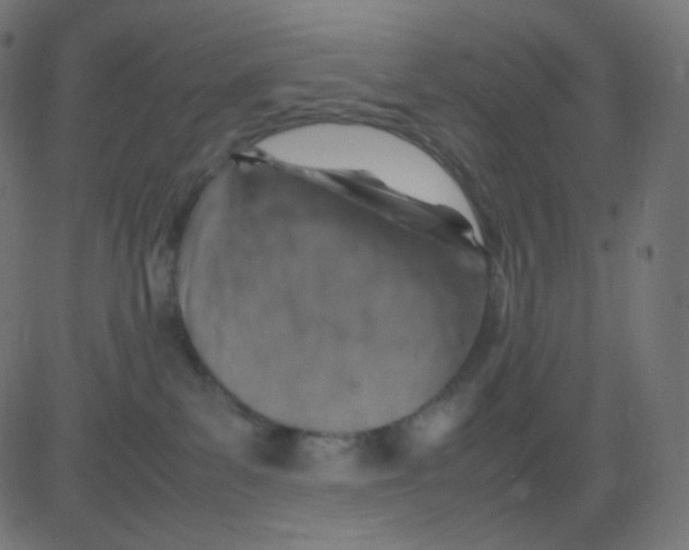 X0000081310139200702012344