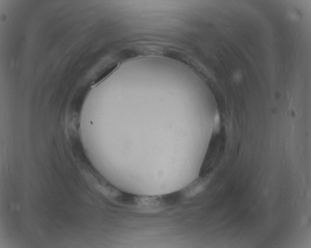 X0000081310141200702012344