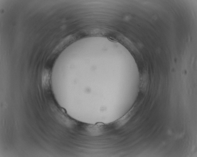 X0000081310142200702012344