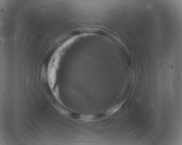 X0000081310143200702012343