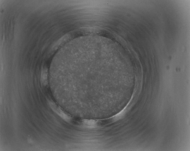 X0000081310144200702012343