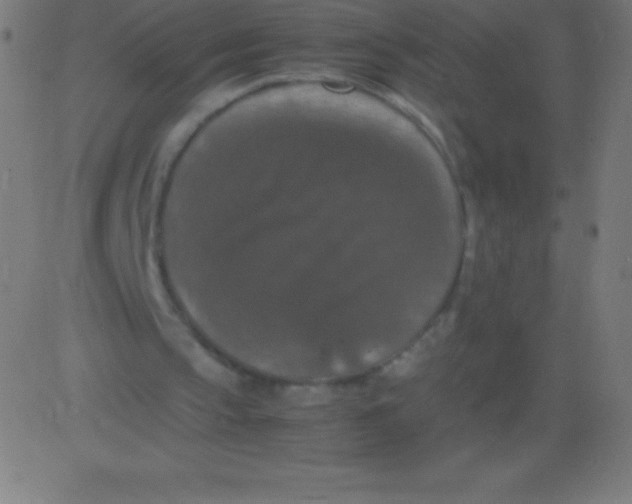 X0000081310145200702012343