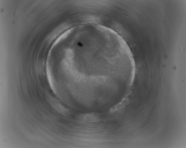 X0000081310146200702012343