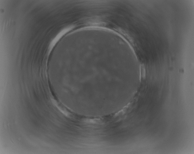 X0000081310147200702012343