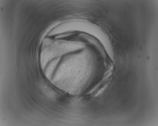 X0000081310148200702012343