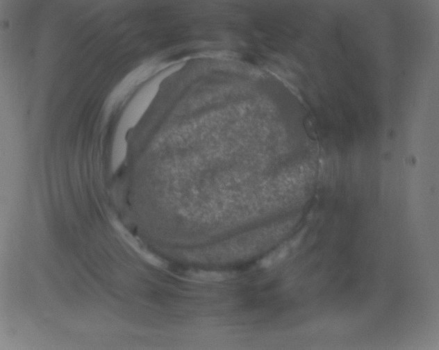 X0000081310149200702012343