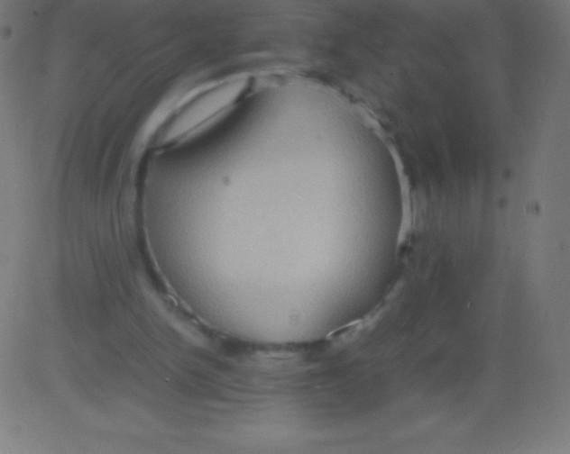 X0000081310150200702012343