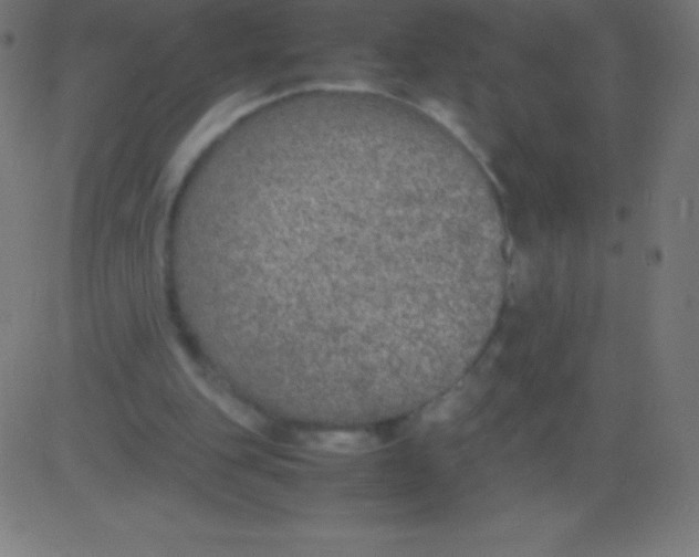 X0000081310151200702012343