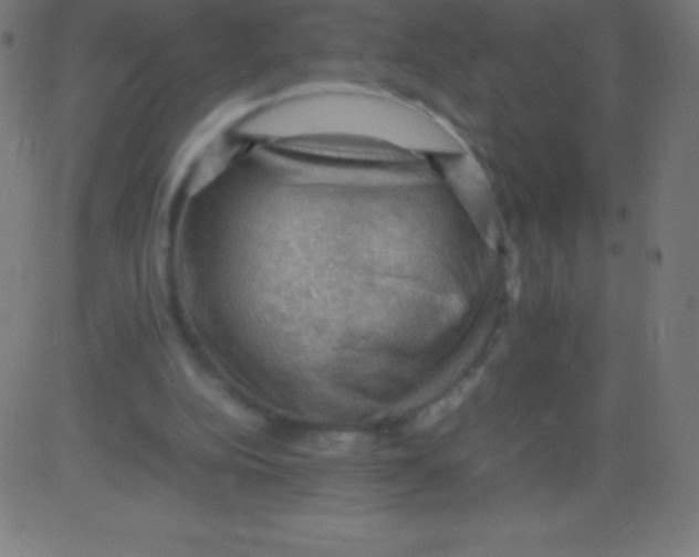 X0000081310152200702012343