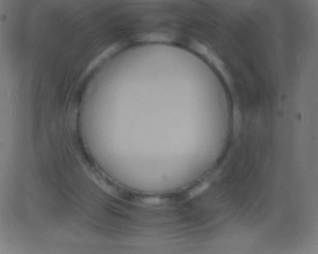 X0000081310153200702012343