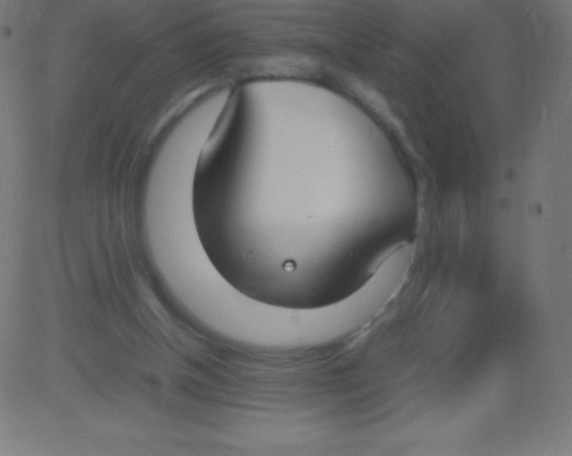 X0000081310154200702012343