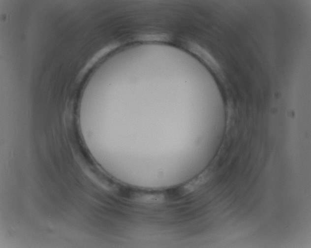 X0000081310155200702012343