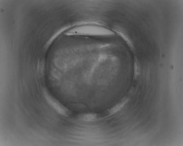 X0000081310156200702012343