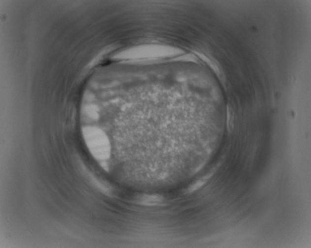 X0000081310157200702012343