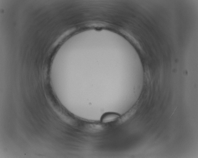 X0000081310159200702012343