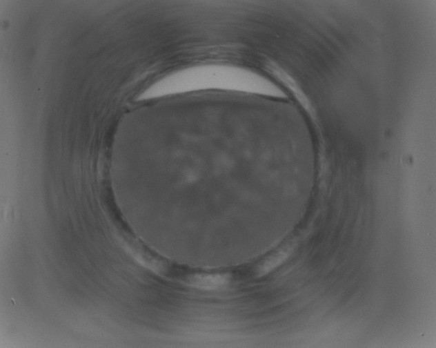 X0000081310161200702012343