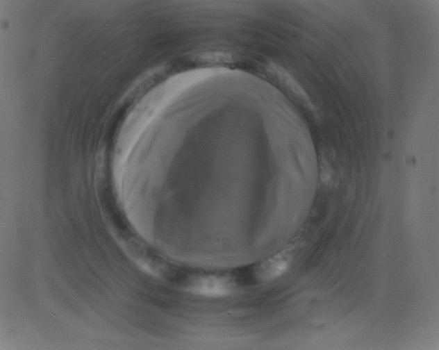 X0000081310163200702012343