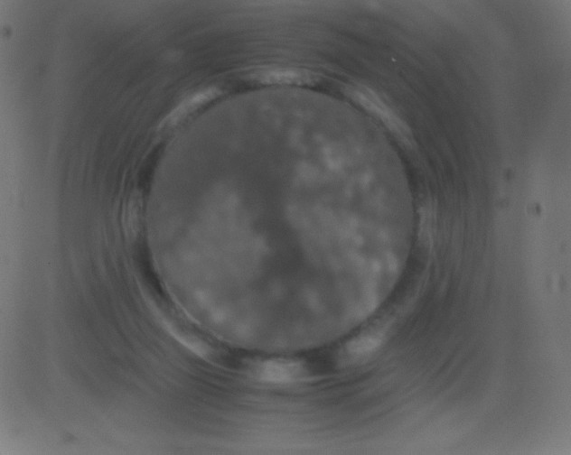 X0000081310165200702012343