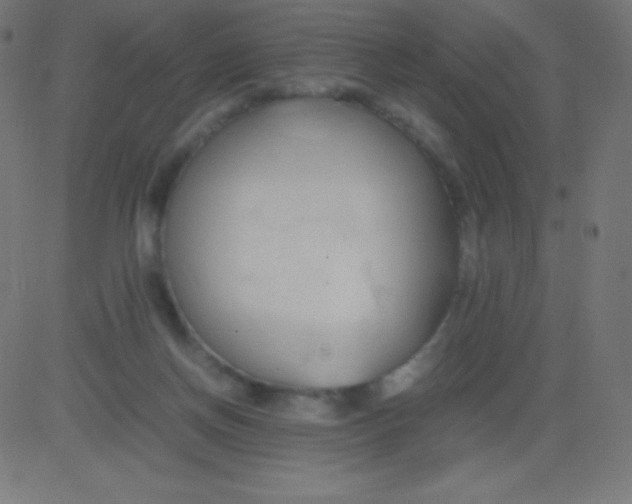 X0000081310166200702012343