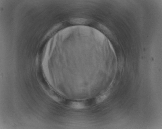 X0000081310167200702012343