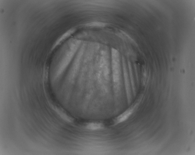 X0000081310168200702012343