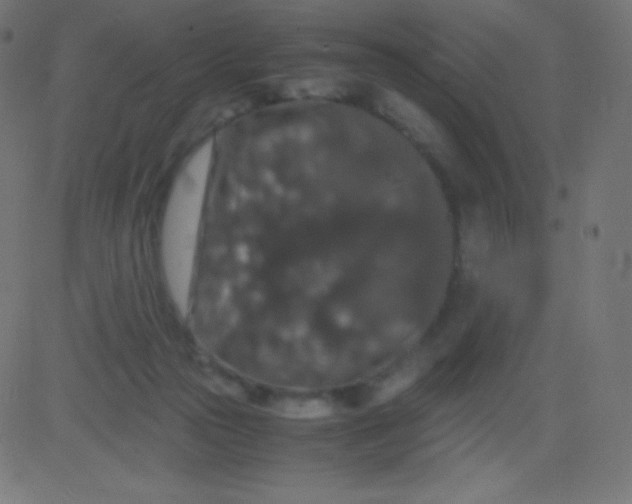 X0000081310169200702012343