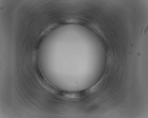 X0000081310171200702012343