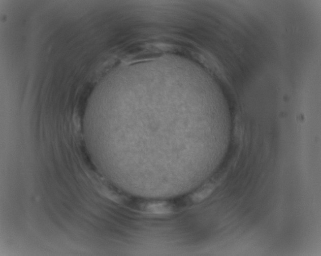 X0000081310173200702012343