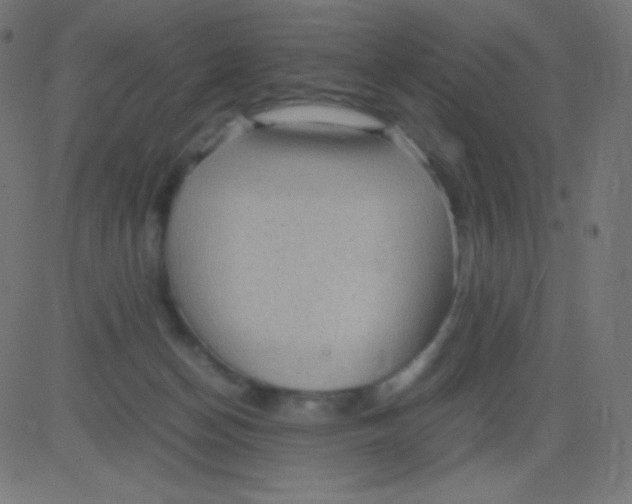 X0000081310174200702012343