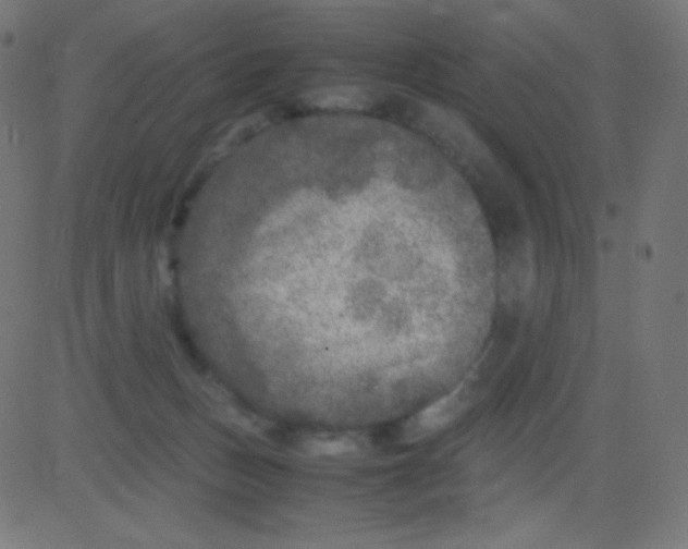 X0000081310175200702012343