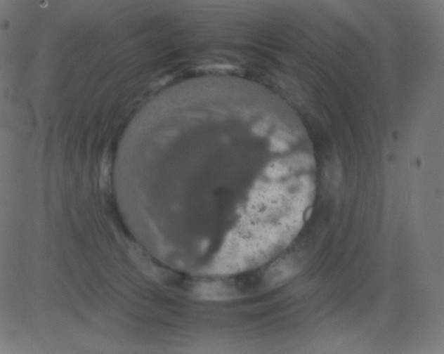 X0000081310177200702012343