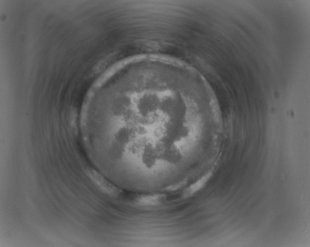 X0000081310178200702012343