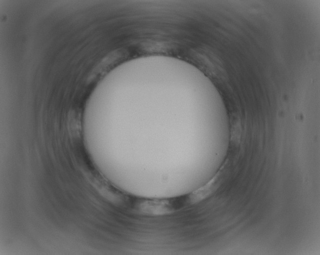 X0000081310179200702012343