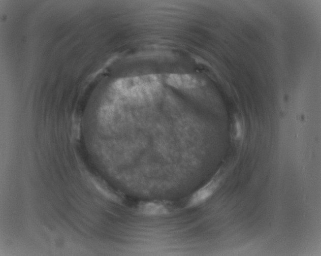 X0000081310180200702012343