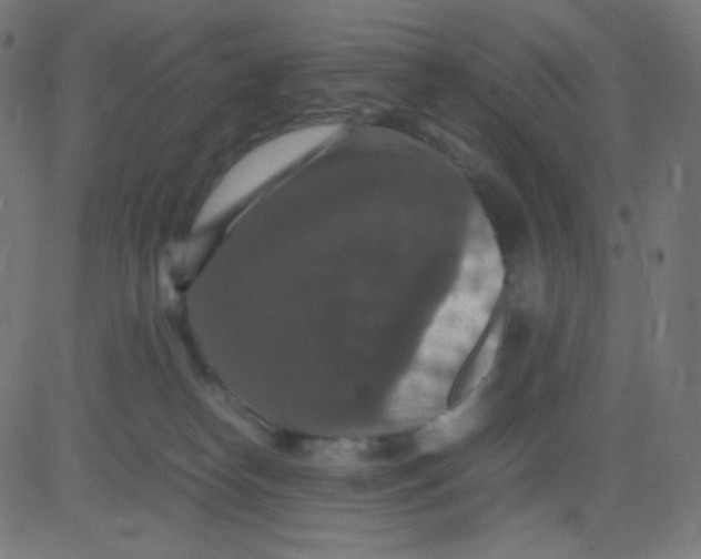 X0000081310182200702012343