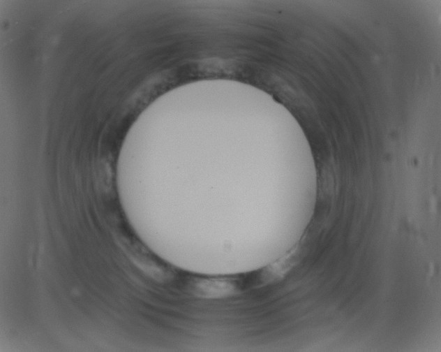 X0000081310183200702012343