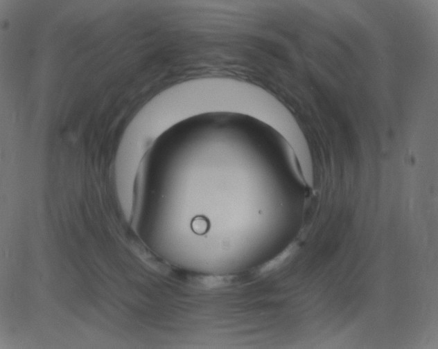 X0000081310184200702012343