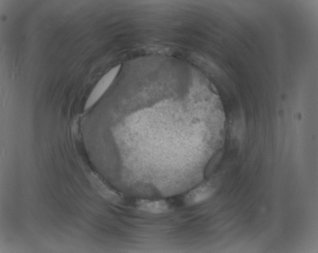 X0000081310185200702012343