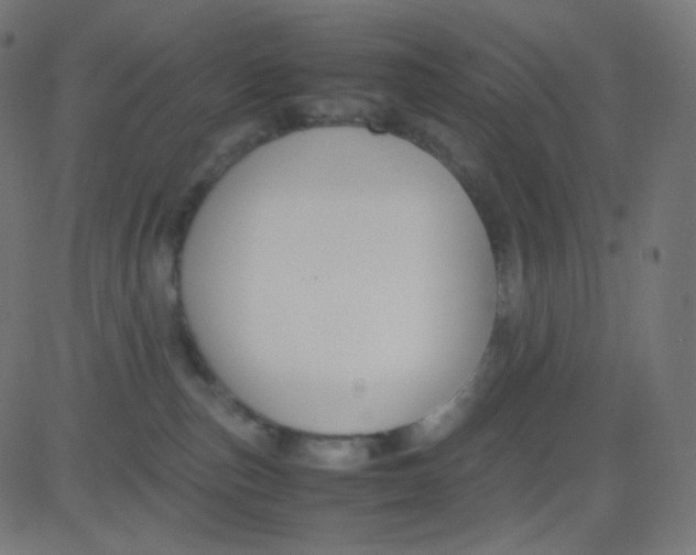 X0000081310187200702012343