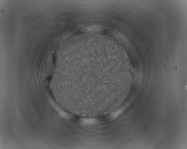 X0000081310189200702012343