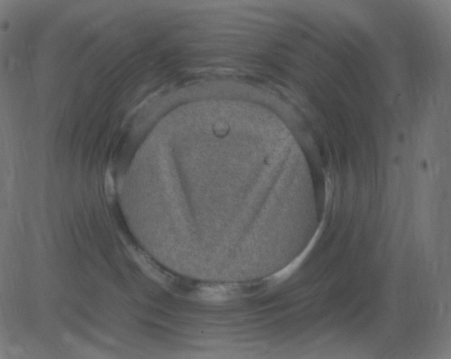 X0000081310190200702012343